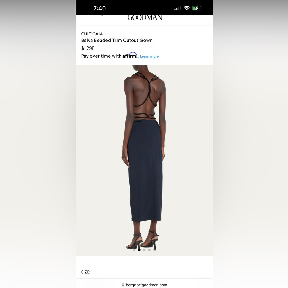 Cult Gaia Belva gown